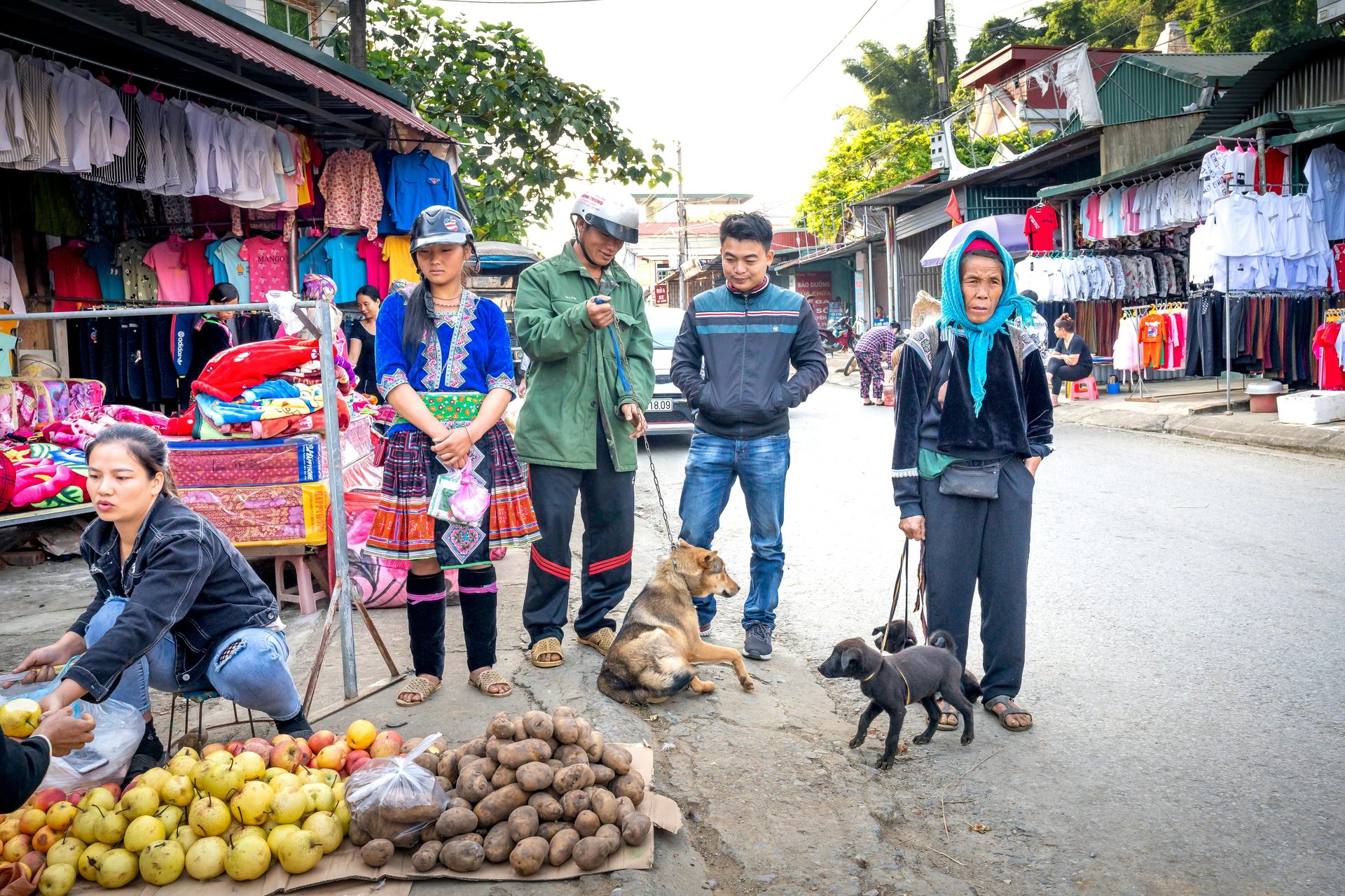 Ha Giang